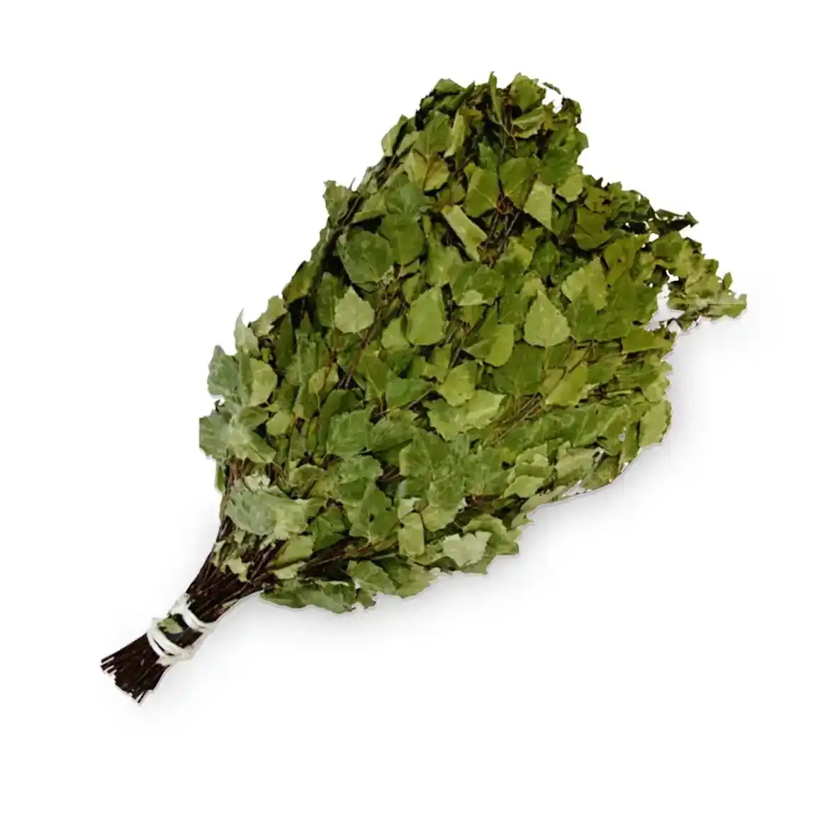 Веник для бани березовый