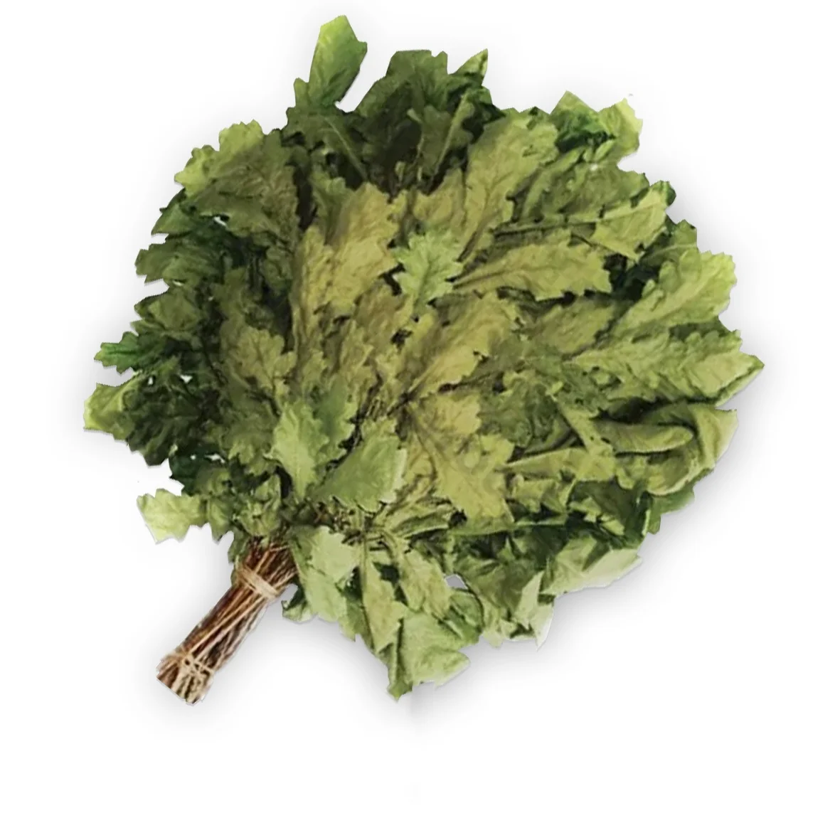 Веник дубовый