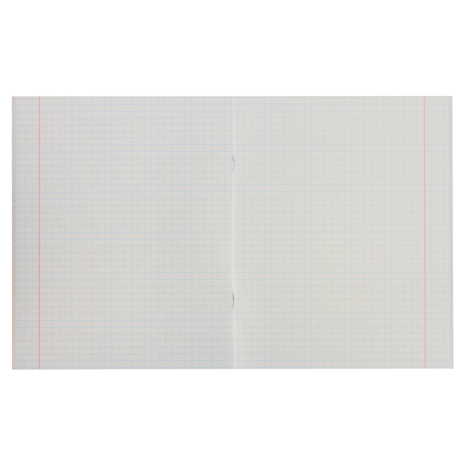 Тетрадь А5 48л. STAFF клетка офсет №2 ЭКОНОМ обложка картон рисунок ОДИН ЦВЕТ (линии)