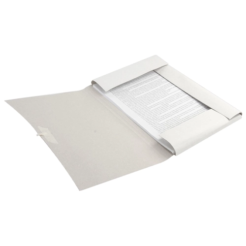 Папка для бумаг с завязками картонная BRAUBERG, гарантированная плотность 300 г/м2, до 200 листов